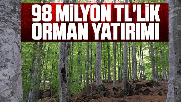 Samsun'a 82 proje ile 98 milyon TL'lik orman yatırımı