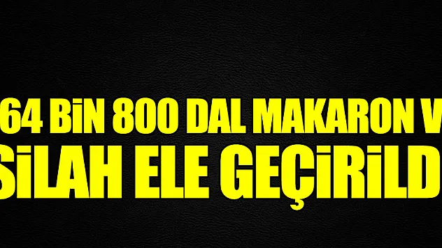764 bin 800 dal makaron ve silah ele geçirildi