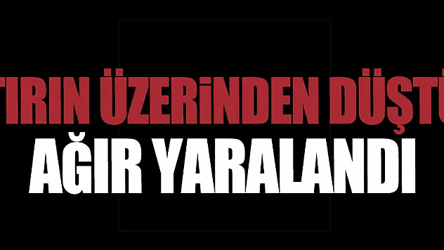 Tırın üzerinden düşen şahıs ağır yaralandı