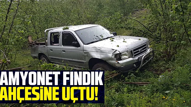 Kamyonet Fındık Bahçesine Uçtu!