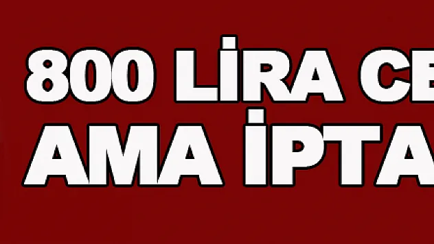 Fahri trafik müfettişi 1 ayda 800 otopark cezası kesti, emniyet hepsini iptal etti