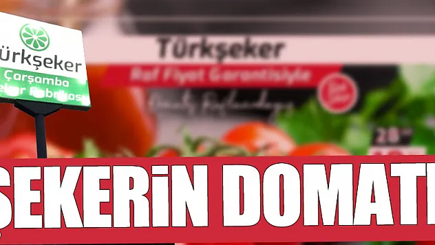 ŞEKERİN DOMATI