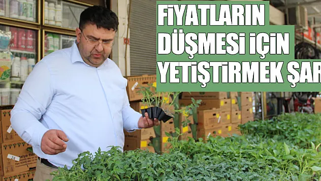 FİYATLARIN DÜŞMESİ İÇİN YETİŞTİRMEK ŞART