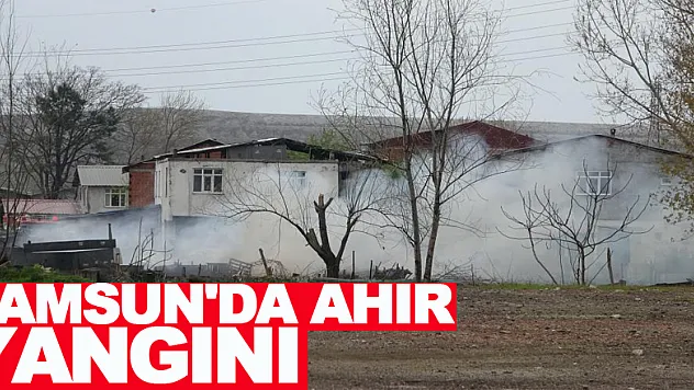 Samsun'da ahır yangını