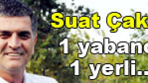 1 yabancı 1 yerli oyuncu geliyor