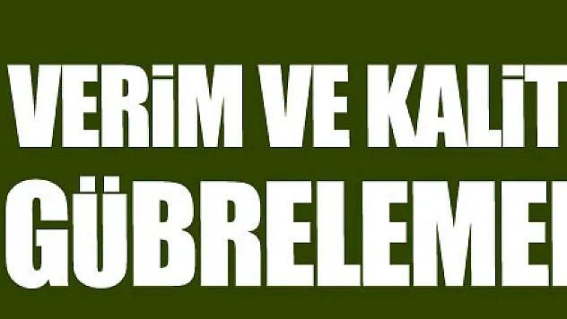 Buğdayda verim ve kalite artışı için gübrelemenin önemi