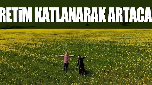 Yüzde 50 yağ oranına sahip kanolanın üretimi katlanarak artacak