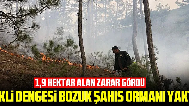 Akli dengesi bozuk şahıs ormanı yaktı, 1,9 hektar alan zarar gördü