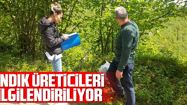 Fındık üreticileri bilgilendiriliyor