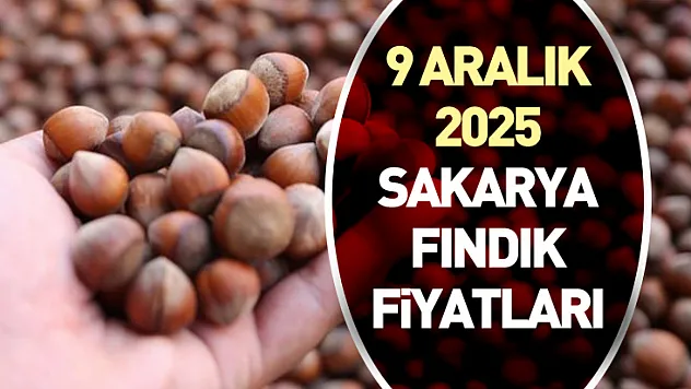 9 Aralık 2025 Sakarya Fındık Fiyatları | Fındık Fiyatları Durağan Seyrediyor