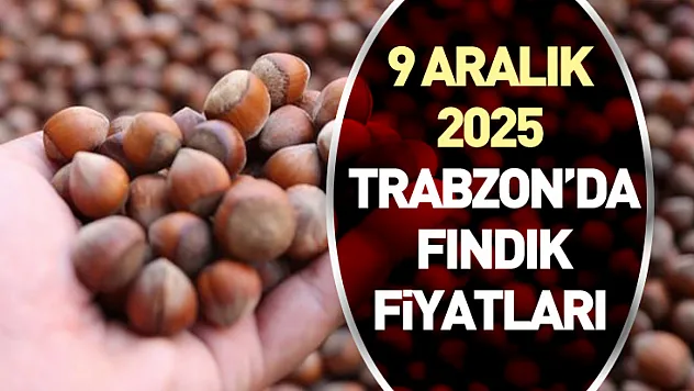 9 Aralık 2025 Trabzon'da Fındık Fiyatları | Salı Piyasası Güçlü