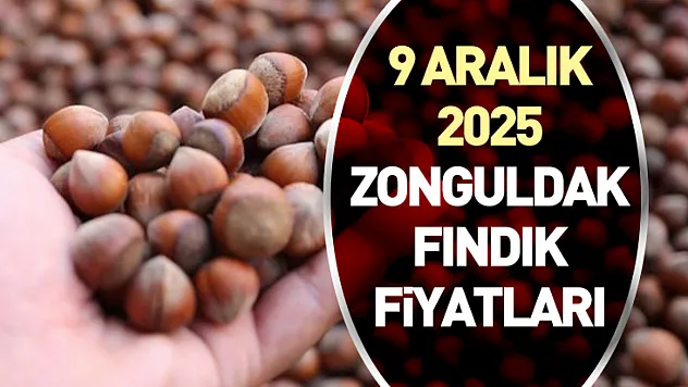 9 Aralık 2025 Zonguldak Fındık Fiyatları | Piyasa Sakin: Hafta Ortası Beklentisi Arttı