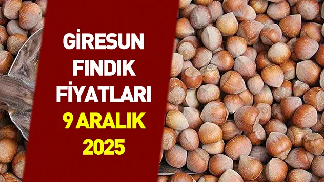 9 Aralık Giresun Fındık Fiyatları |Giresun'da Alım Gücü Artıyor