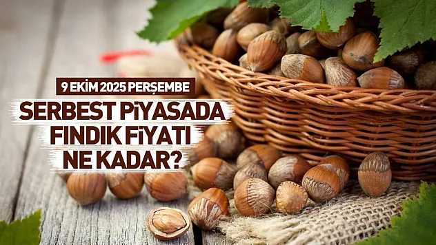9 Ekim 2025 Perşembe Fındık Fiyatları: Serbest Piyasada Yeniden Yükseliş Başladı