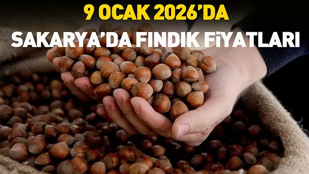 9 Ocak 2026'da Sakarya'da Fındık Fiyatları