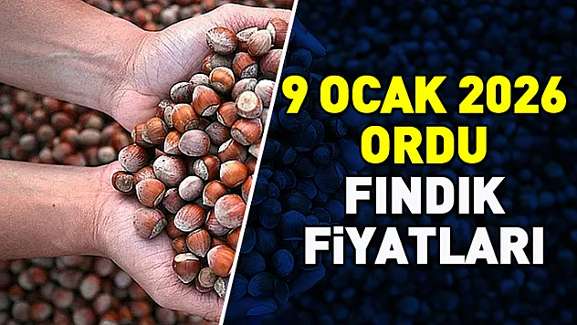 9 Ocak 2026 Ordu'da Fındık Fiyatları Yüksek Seviyesini Koruyor