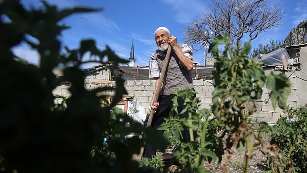 90 yaşında enkaz alanını bahçeye çevirdi, ürünlerini hayrına dağıtıyor