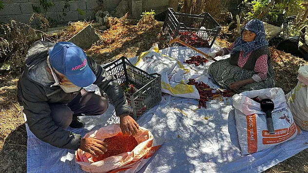90 yaşındaki annenin evlat sevgisi acıyı unutturdu