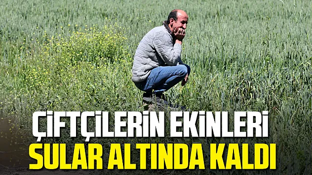 çiftçilerin ekinleri sular altında kaldı