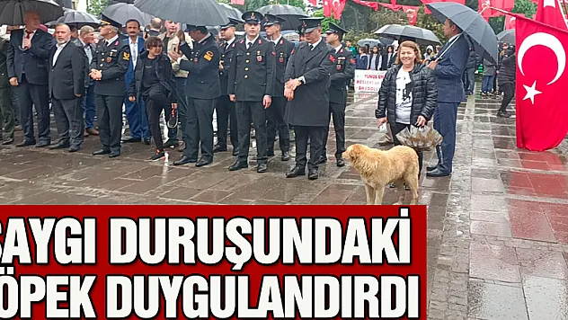 SAYGI DURUŞUNDAKİ KÖPEK DUYGULANDIRDI