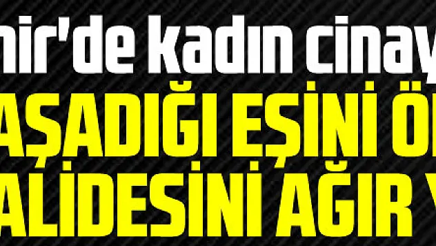 İzmir'de kadın cinayeti: Ayrı yaşadığı eşini öldürdü, kayınvalidesini ağır yaraladı