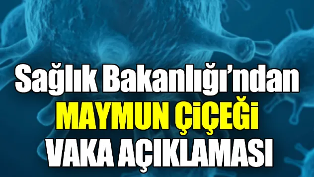 Sağlık Bakanlığı'ndan maymun çiçeği  vaka açıklaması