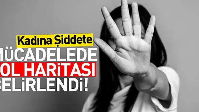 Kadına yönelik şiddetle mücadelede yol haritası belirlendi   