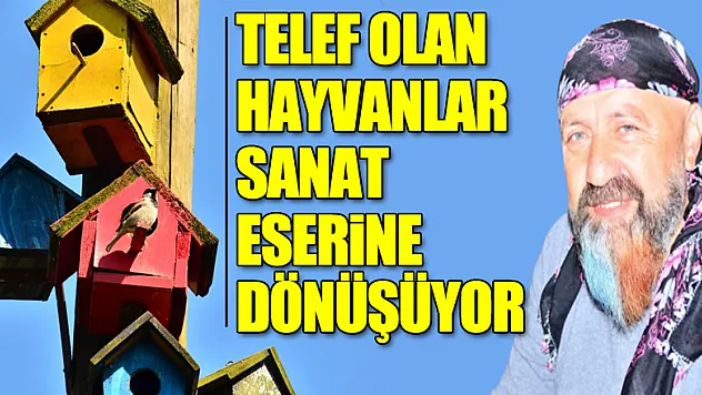 Telef olan hayvanlar sanat eserine dönüşüyor