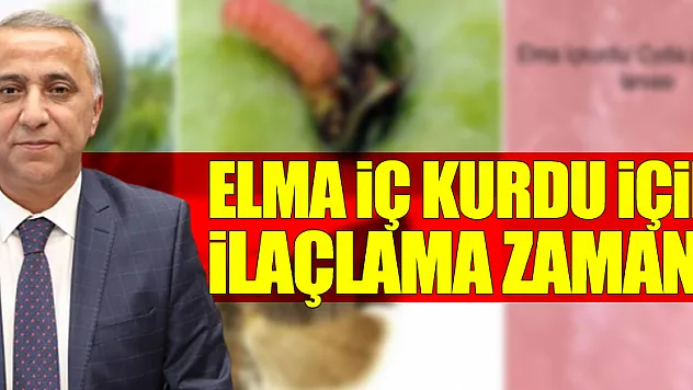 Elma iç kurdu için ilaçlama zamanı