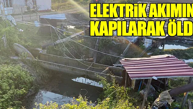 Tarlada elektrik akımına kapılan şahıs hayatını kaybetti