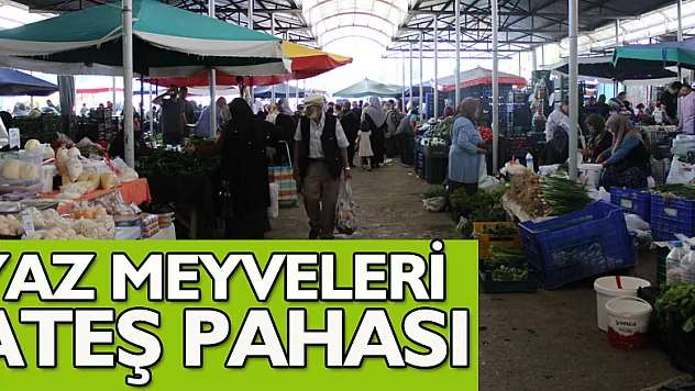 YAZ MEYVELERİ ATEŞ PAHASI