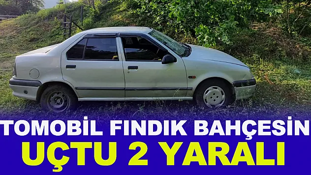 Otomobil fındık bahçesine uçtu: 2 yaralı
