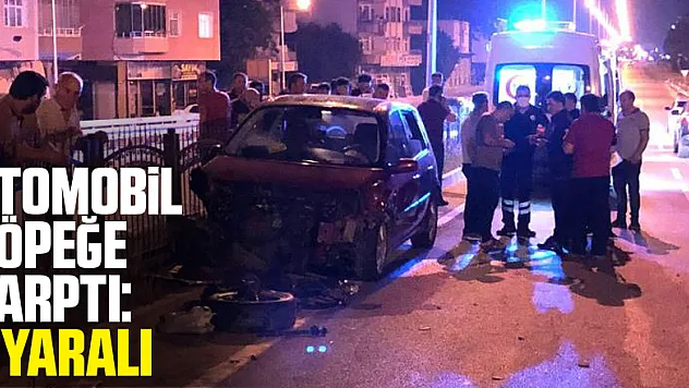 Otomobil köpeğe çarptı: 5 yaralı