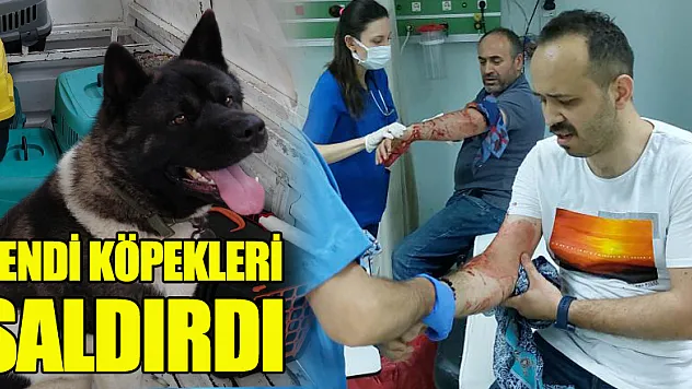 Kendi köpeklerinin saldırısına uğrayan baba-oğul yaralandı