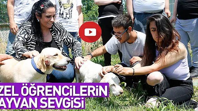 Özel öğrenciler hayvan sevgisi