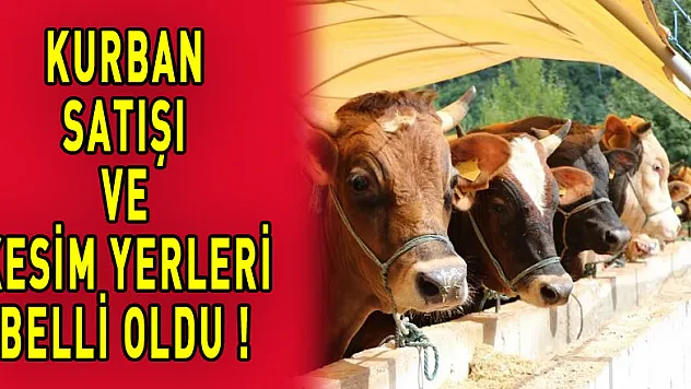 Samsun'da kurban satış ve kesim yerleri belli oldu