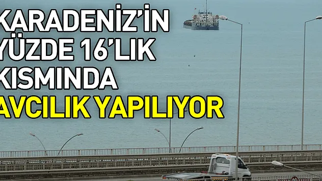 Doç. Dr. Erüz: 'Karadeniz'in yüzde 16'lık kısmında avcılık yapılıyor'