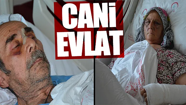 Anne-babaya öldüresiye darp