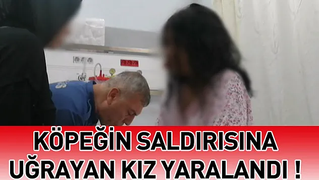 Köpeğin saldırısına uğrayan 18 yaşındaki genç kız başından yaralandı