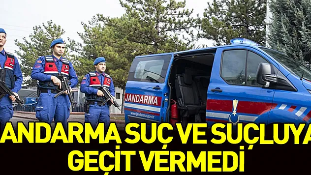 Jandarma suç ve suçluya geçit vermedi