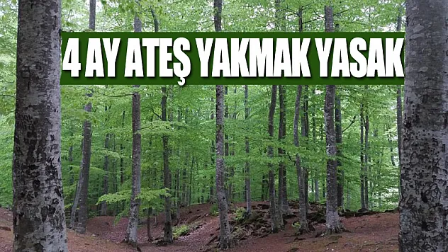 Yeşil Samsun için yeni tedbirler: Ormanlarda 4 ay ateş yakmak yasak