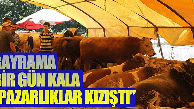 Kurban Bayramı'na bir gün kala pazarlıklar kızıştı