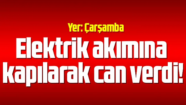 Elektrik akımına kapılarak can verdi!