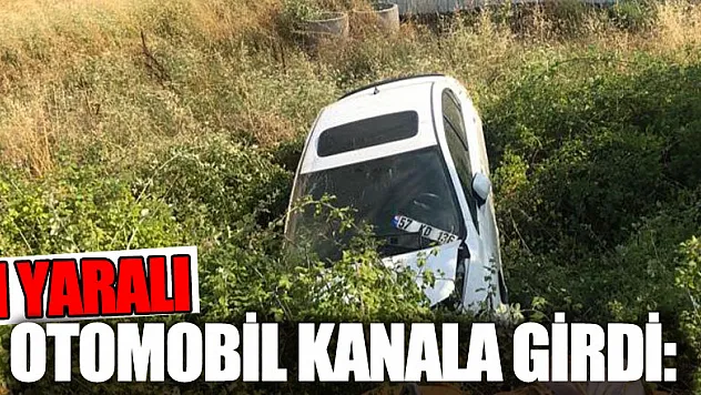 Otomobil kanala girdi: 1 yaralı
