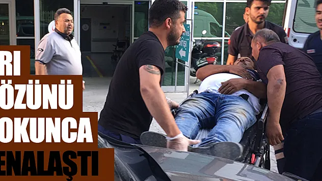 Gözünden arının soktuğu kişi hastanelik oldu