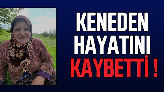 Samsun'da 8 çocuk annesi kadın, keneden hayatını kaybetti