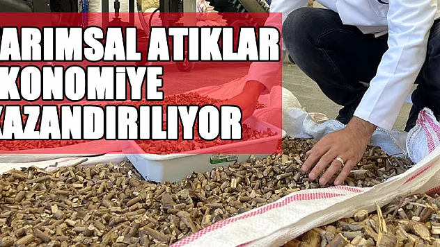Tarımsal atıklar ekonomiye kazandırılıyor