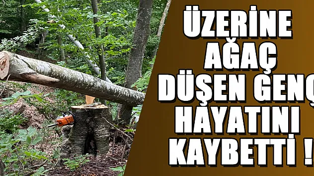 Ormanda üzerine kesilen ağaç düşen genç hayatını kaybetti