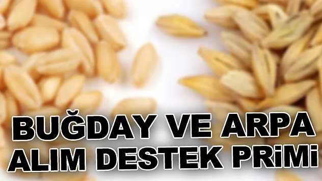 BUĞDAY VE ARPA ALIM DESTEK PRİMİ