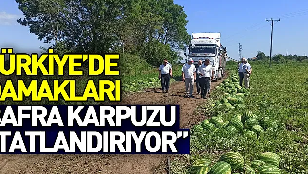 Türkiye'de damakları Bafra karpuzu tatlandırıyor